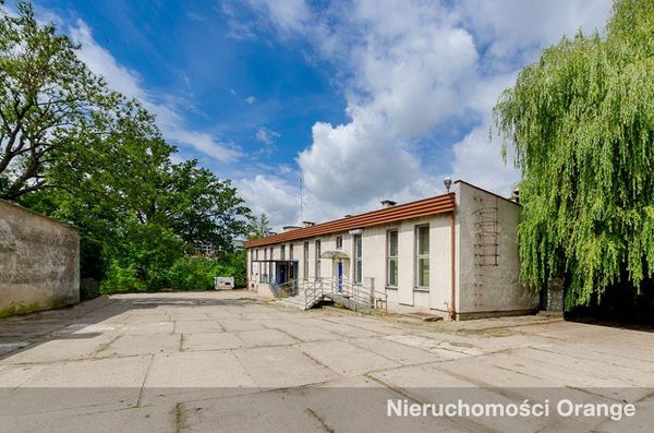 Rzut [T08709] Zwycięstwa 8 - T08709