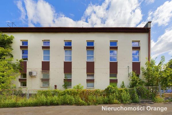 Rzut [T09316] Krótka 1a - T09316