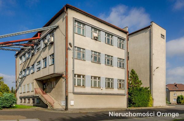 Rzut [T03421] Szymały 77 - T03421