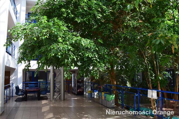 Rzut [T09144] Mikołajczyka 8 - T09144