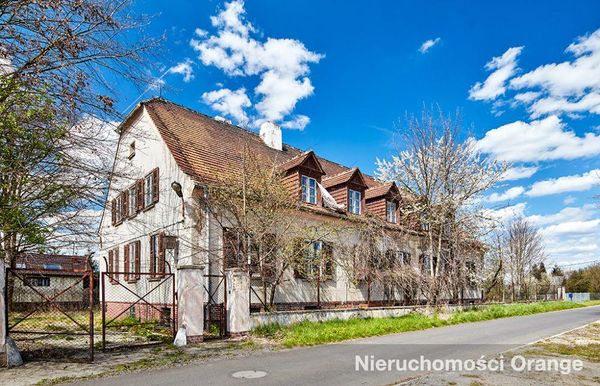 Rzut [T00209] gm. Nowogrodziec, 61 - T00209