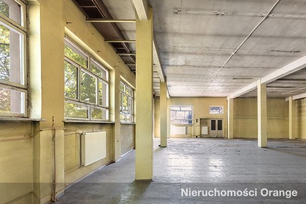 Rzut [T02398] Pocztowa 1 - T02398