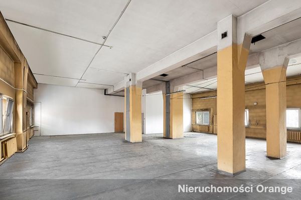 Rzut [T02848] Ligonia 5 - T02848