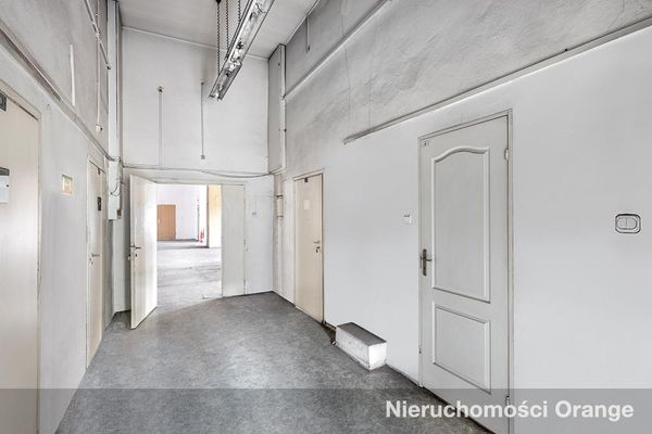 Rzut [T02848] Ligonia 5 - T02848