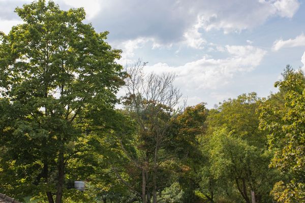 Rzut Wzgórze Krzemionki - Mieszkanie na sprzedaż, Kraków, Podgórze, 1470350  PLN