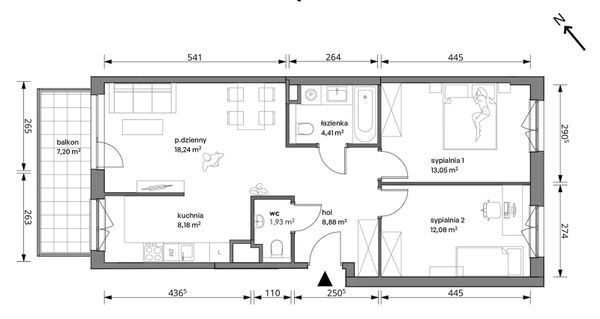 Rzut Trzcinowa Vita - 18A/014