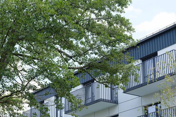 Rzut Sitowie - Mieszkanie na sprzedaż, Kraków, Dębniki