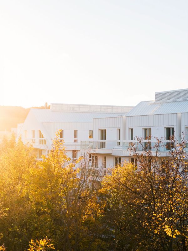 Rzut Wita 77 - Mieszkanie na sprzedaż, Gdańsk, Strzyża, 1185811  PLN