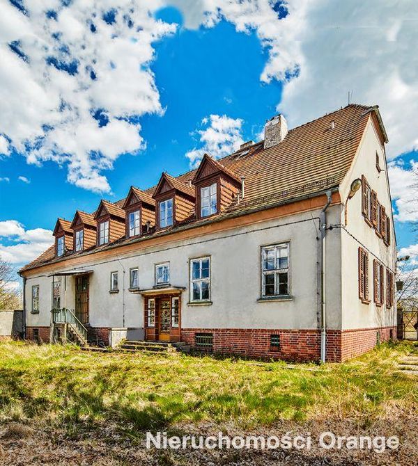 Rzut [T00209] gm. Nowogrodziec, 61 - T00209