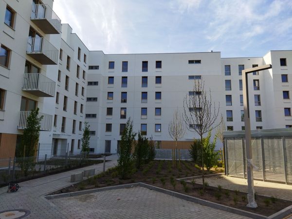 Rzut Junique - Mieszkanie na sprzedaż, Poznań, Grunwald