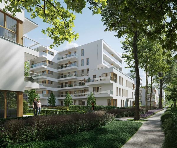 Rzut Grunwald Między Drzewami - Mieszkanie na sprzedaż, Poznań, Grunwald