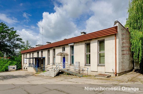 Rzut [T08709] Zwycięstwa 8 - T08709