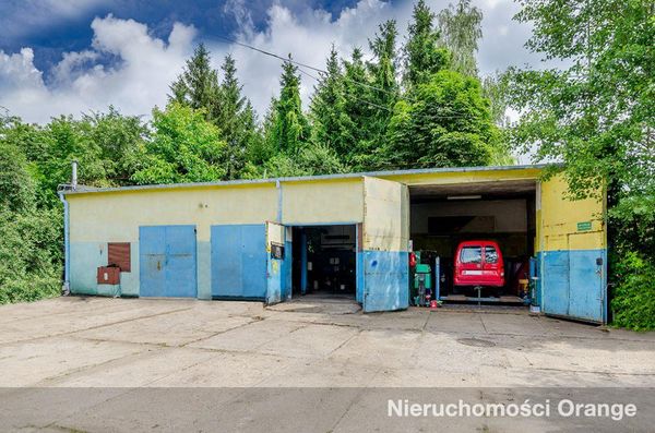 Rzut [T08709] Zwycięstwa 8 - T08709