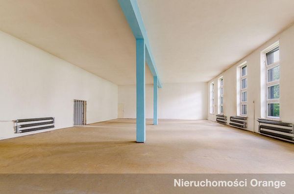 Rzut [T08709] Zwycięstwa 8 - T08709