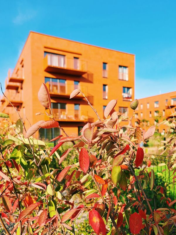 Rzut Mieszkaj w mieście - Osiedle Wizjonerów - Mieszkanie na sprzedaż, Kraków, Bronowice, 1300000  PLN