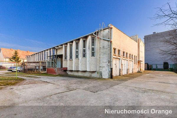 Rzut [T03909] Bankowa 30 - T03909