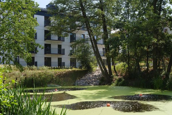 Rzut Sitowie - Mieszkanie na sprzedaż, Kraków, Dębniki