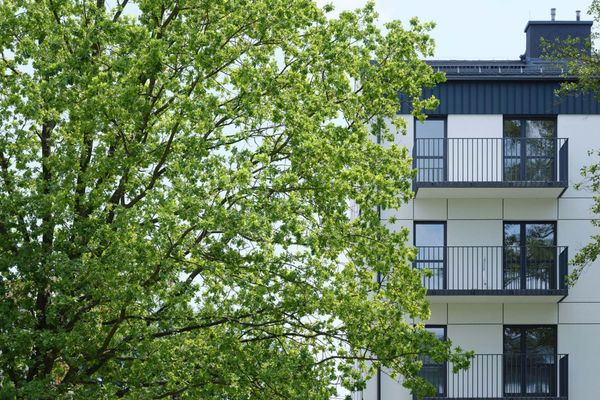 Rzut Sitowie - Mieszkanie na sprzedaż, Kraków, Dębniki