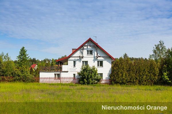 Rzut [T06382] 22 Lipca - T06382