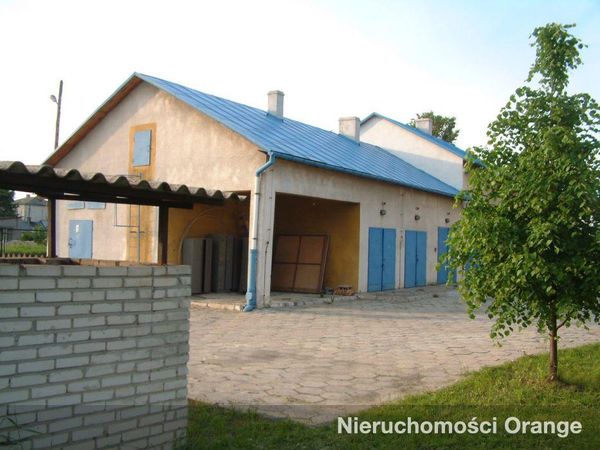 Rzut [T05291] Wiejska 7 - T05291