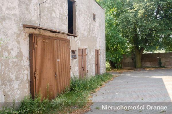 Rzut [T03388] Pleszewska 12 - T03388