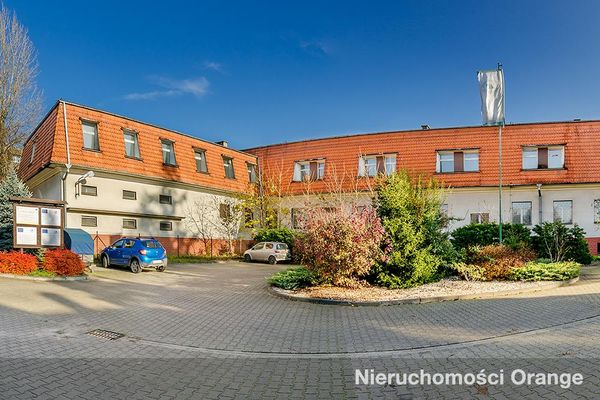 Rzut [T07990] Podwale 33a - T07990