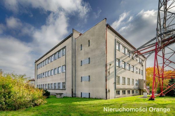 Rzut [T03421] Szymały 77 - T03421