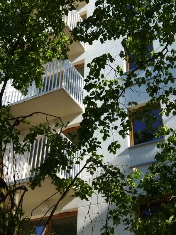 Rzut Junique - Mieszkanie na sprzedaż, Poznań, Grunwald, 645084  PLN