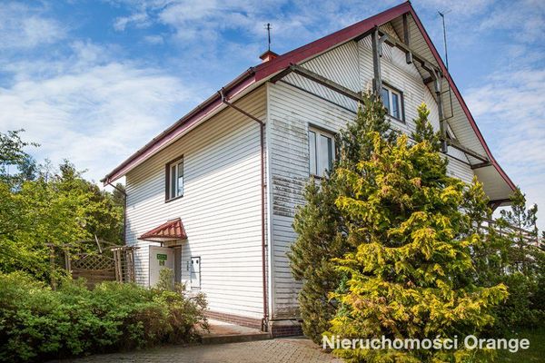 Rzut [T06382] 22 Lipca - T06382