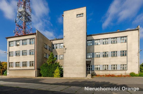 Rzut [T03421] Szymały 77 - T03421