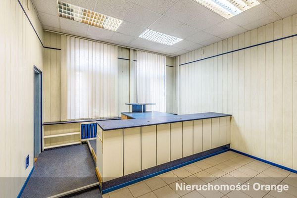 Rzut [T03552] Księcia Bogusława X 13 - T03552