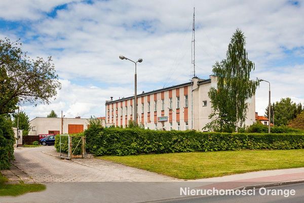 Rzut [T01912] Drzymały 1 - T01912