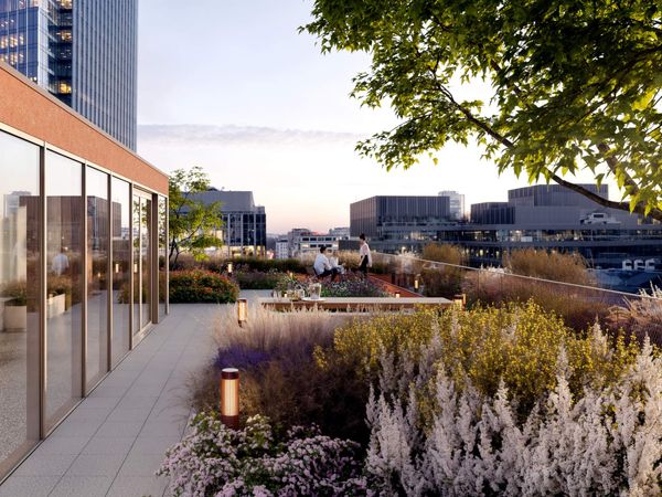 Rzut Żelazna 54 - Mieszkanie na sprzedaż, Warszawa, Wola, 2978060  PLN