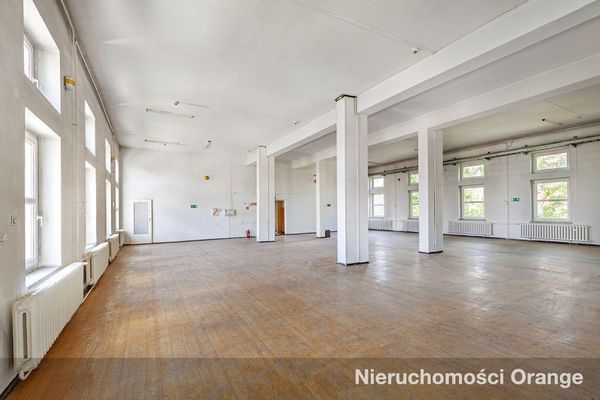 Rzut [T09316] Krótka 1a - T09316