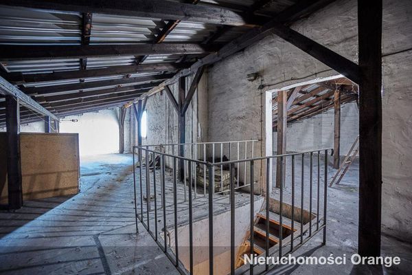 Rzut [T09158] Magazynowa 19 - T09158