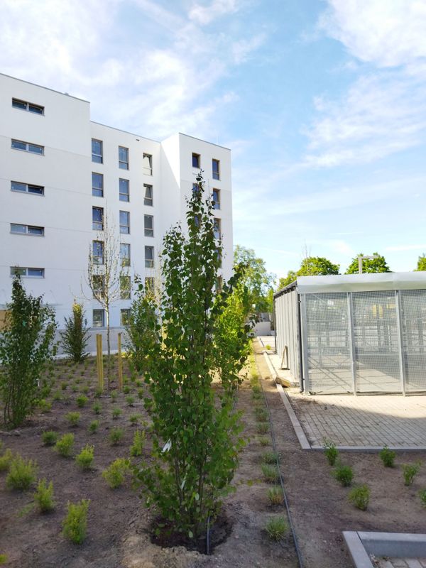 Rzut Junique - Mieszkanie na sprzedaż, Poznań, Grunwald, 688644  PLN