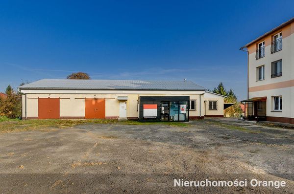 Rzut [T03016] Ustrzycka 136B - T03016