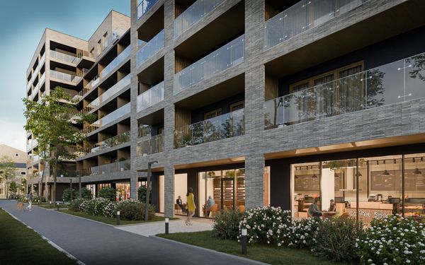 Rzut Teatralna 3 - Mieszkanie na sprzedaż, Sosnowiec, 502405  PLN