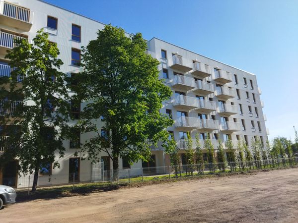 Rzut Junique - Mieszkanie na sprzedaż, Poznań, Grunwald, 688644  PLN