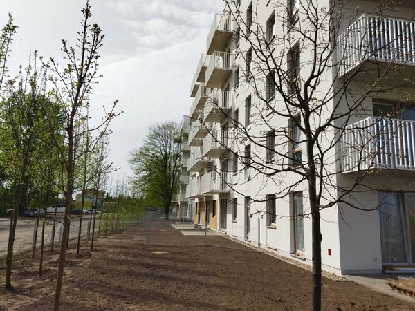 Rzut Junique - Mieszkanie na sprzedaż, Poznań, Grunwald, 689832  PLN