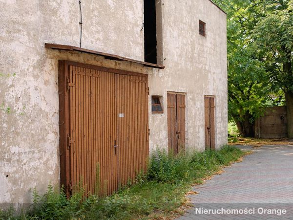 Rzut [T03388] Pleszewska 12 - T03388