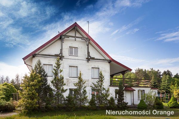 Rzut [T06382] 22 Lipca - T06382