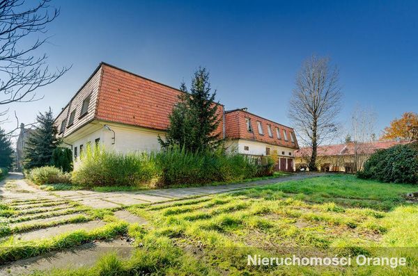 Rzut [T07990] Podwale 33a - T07990