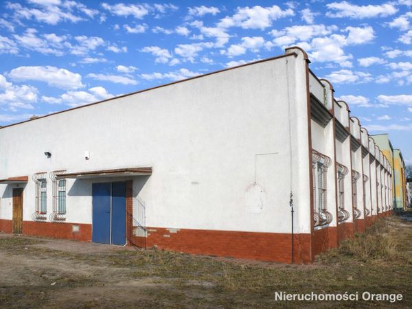 Rzut [T03329] Tadeusza Kościuszki 60 - T03329