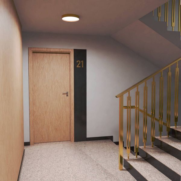 Rzut Urok Jagienki - Mieszkanie na sprzedaż, Białystok, Sienkiewicza