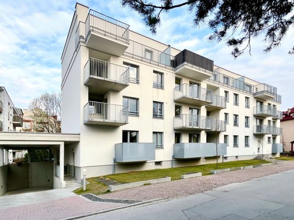 Rzut Nowa Pszczelna - Mieszkanie na sprzedaż, Kraków, Dębniki, 885928  PLN