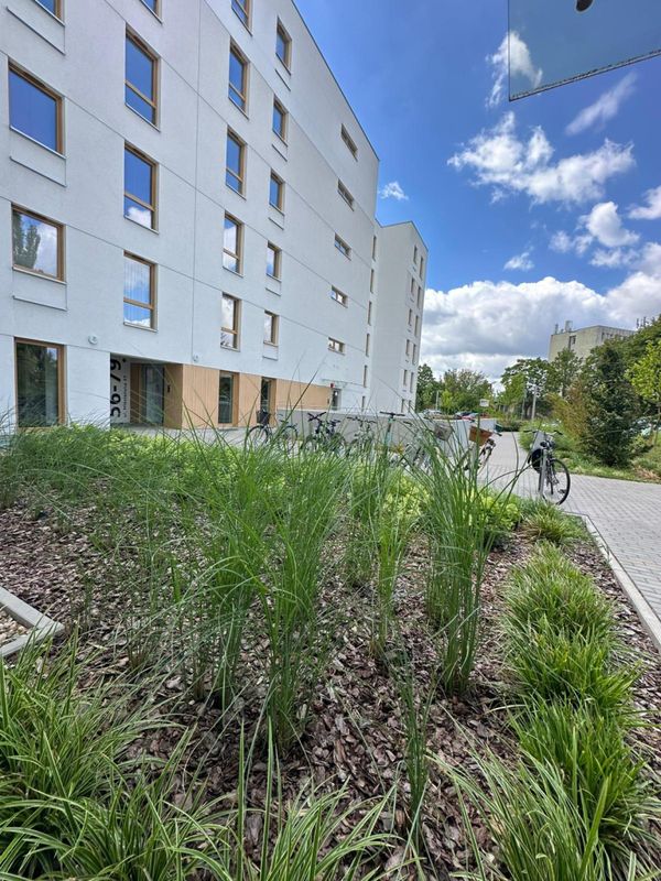 Rzut Junique I.II - Mieszkanie na sprzedaż, Poznań, Grunwald, 609000  PLN