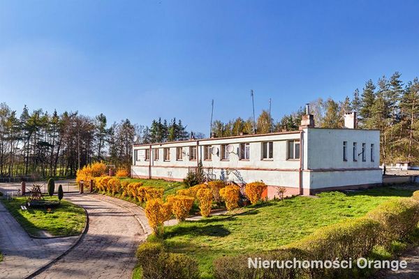 Rzut [T02282] gm. Dobroszyce - T02282