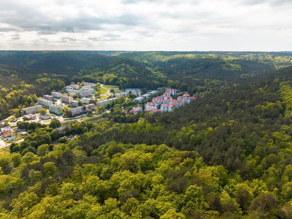Rzut Cis Park - Mieszkanie na sprzedaż, Gdynia, Pustki Cisowskie-Demptowo, 690812  PLN