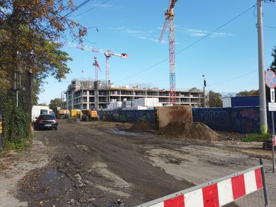 fot. Damian Daraż